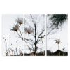 Stragglers | Triptych | Fine Art Print | Photography by Jess Ansik. Item composed of canvas and aluminum in boho or country & farmhouse style