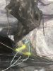 Piercing A Dark Heart | Mixed Media by Aurelio Costarella. Item composed of canvas & paper
