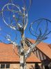 Mockingbird/Orange Tree by Michael Warrick, NSG | Public Sculptures by JK Designs and the National Sculptors' Guild | The Groves in Whittier - Open by Appointment Only in Whittier