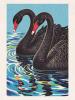Black Swans | Prints in Paintings by Paul Manwaring Fine Art Prints. Item composed of paper in traditional style