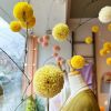 Custom Blossom Mobiles | Sculptures by Paula Hartmann. Item composed of steel and paper in eclectic & maximalism style