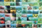 Underwater Photography | Photography by Gustavo Oviedo