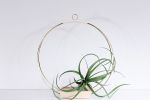 BRAID & WOOD Plant Hanger (Large) & (Medium) | Plants & Landscape by Braid & Wood Design Studio. Item made of maple wood with brass
