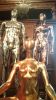 Ulysses in 3 at The Park Armory 2014 | Public Sculptures by Garry Grant Studio. Item composed of metal