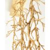 WM504 SPIKED BRANCH | Chandeliers by alanmizrahilighting | New York in New York. Item made of brass & glass
