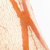 Arc Coral Silk Pillow | Pillows by Studio Variously. Item composed of cotton compatible with minimalism and modern style