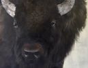 Prairie Boss | Paintings by Marilyn Landers