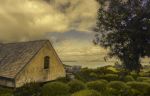 Afternoon at Mudbrick | Photography by Jay Mason. Item composed of paper in country & farmhouse or coastal style