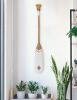 Wenu Mapu | Ornament in Decorative Objects by Hualle. Item made of wood