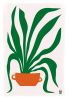 Still Life: Snake Plant - Fine Art Print | Prints by Kirsten Ulve. Item made of paper works with boho & minimalism style