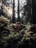 FUNGI (9"x12" - 36"x48") I PNW I Nature Print I Wall Art | Photography by Jess Ansik. Item composed of paper in boho or contemporary style