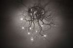 "Roots Medium" + "Roots Small to Medium" | Chandeliers by Fragiskos Bitros