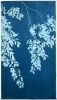 Chinese Elm Triptych (three 40 x 20" original cyanotypes) | Photography by Christine So