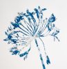 Delft Agapanthus 3 (18 x 24" painting-cyanotype hybrid) | Watercolor Painting in Paintings by Christine So | Thomas Deans Fine Art in Atlanta