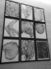 Set of 9 Tree Ring Prints | Prints by Erik Linton. Item made of paper