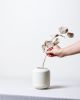 Lantern Vase | Vases & Vessels by Stone + Sparrow Studio. Item composed of ceramic