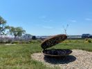 Shell with Pearl | Public Sculptures by Pedro Villalta. Item made of metal