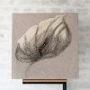 Arabesque - Sculptural  Wall Artwork | Wall Sculpture in Wall Hangings by Urban Plaster Bloom. Item made of cement works with minimalism & contemporary style