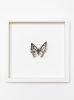 cocooning & metamorphosis collection | Prints by Tania Love. Item made of paper