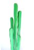 Cactus Coat Rack | Storage by Greg Palombo. Item composed of wood in boho or contemporary style