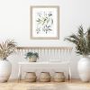 Olive Botanical Study Assemblage (Pair) Art Prints | Prints by Jennifer Lorton Art. Item made of paper works with contemporary & country & farmhouse style