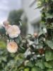 Find Your Serenity | Photography by KNOF design. Item works with contemporary & country & farmhouse style