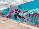 Tropical Oasis | Street Murals by Brooke Rowlands