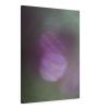 Ephemeral Glow 0979 | Prints by Petra Trimmel. Item composed of paper