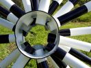 FREE URCHIN | Sculptures by Perci Chester | Perci Chester Fine Artist in Minneapolis. Item made of steel with synthetic