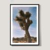 Joshua Tree Photograph in vintage color tones | Photography by Capricorn Press. Item made of paper works with boho & contemporary style