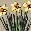 Daffodils and milk jug | Prints in Paintings by Paul Manwaring Fine Art Prints. Item composed of paper in contemporary or modern style