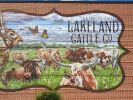 Lakeland Cattle | Street Murals by Anat Ronen | Lakeland Village Center in Cypress