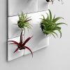 Modern White Ceramic Wall Planter Set - Living Wall Art | Plants & Landscape by Pandemic Design Studio. Item composed of ceramic in minimalism or modern style