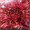 Petals for Novae(RUSSIAN RED ver.) | Oil And Acrylic Painting in Paintings by KENDY. Item made of synthetic