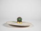 Orbita - 300 | Ornament in Decorative Objects by gumdesign. Item made of brass compatible with contemporary style