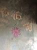 distressed floral spread | Murals by artistdiya | Iso Cafe & Bar in Jaipur