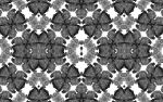 Midnight Fleur greyscale by EDGE Collections | Wallpaper by EDGE Collections