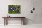 Away in the Iris Field | Oil And Acrylic Painting in Paintings by Judy Century Art. Item composed of synthetic