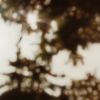 "Printemps Des Arbres" | Oil And Acrylic Painting in Paintings by Laura Wood | 64 Boulevard Haussmann in Paris. Item made of canvas