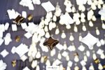 Hôtel Lobby Bespoke Chandelier - Majestic Hotel | Chandeliers by Beau&Bien