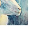 Resilient Ram | Oil And Acrylic Painting in Paintings by Catherine Twomey