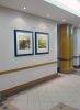 "Nuances" limited edition print series | Prints by Janet Botes | Pricewaterhousecoopers in Cape Town. Item made of paper