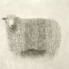 Limited Edition Sheep Print | Prints by Meagan Donegan. Item made of paper
