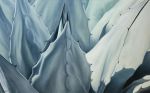 'Shades of Agave' Original Oil Painting | Oil And Acrylic Painting in Paintings by Jenny Stewart's Fine Art. Item composed of canvas in minimalism or contemporary style