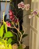 Orchid Arrangement | Floral Arrangements by Fleurina Designs