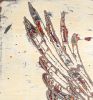 Truce- sold | Oil And Acrylic Painting in Paintings by L Rowland Contemporary Art. Item made of wood with synthetic