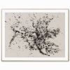 Take Flight - Fine Art Print | Prints by Christa. Item composed of paper