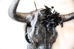 Antiqued Cow Skull | Ornament in Decorative Objects by Gypsy Mountain Skulls. Item works with contemporary & country & farmhouse style