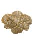 Ginkgo Biloba | Sconces by Bronzetto. Item made of brass