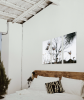Stragglers | Triptych | Fine Art Print | Photography by Jess Ansik. Item composed of canvas and aluminum in boho or country & farmhouse style